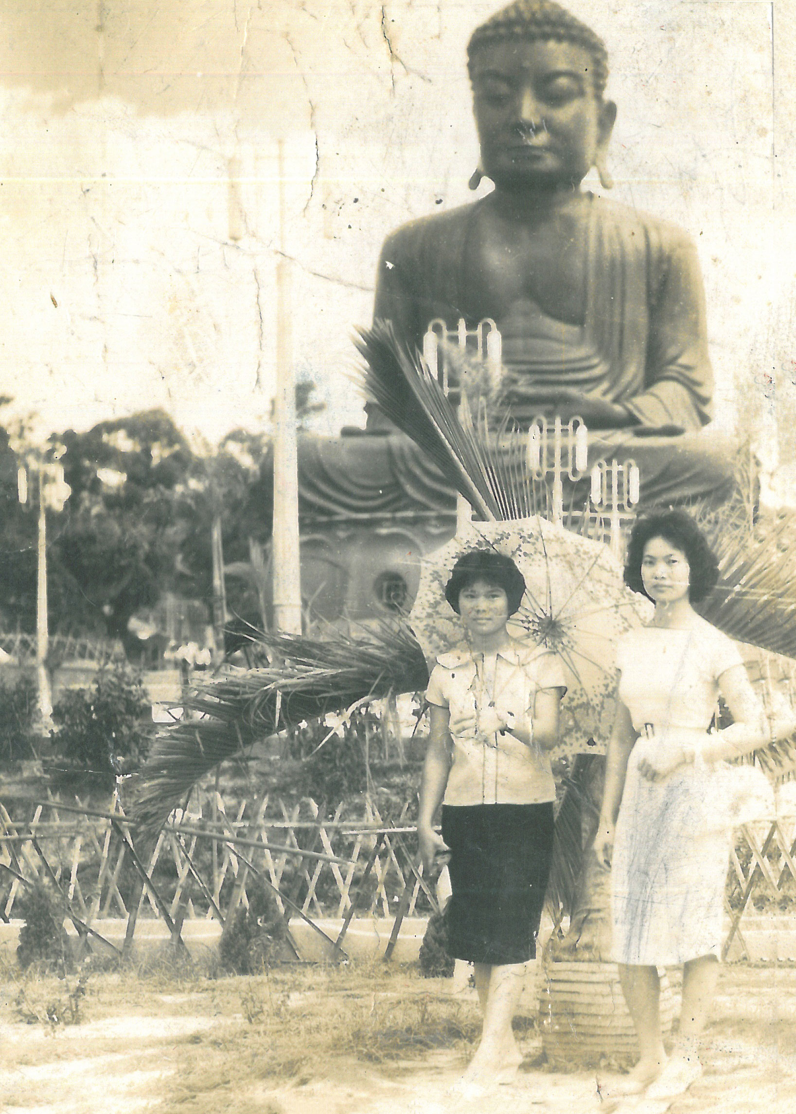 Yong-Li No.1 Breeding Program