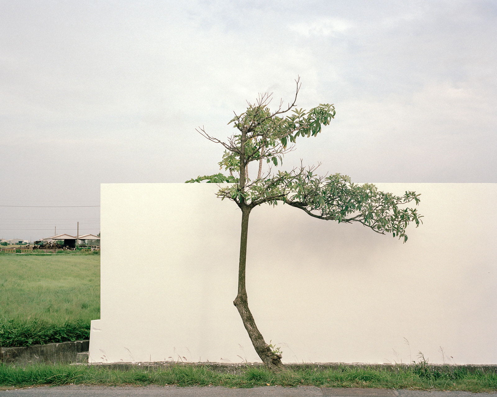 Nowhere in Taiwan