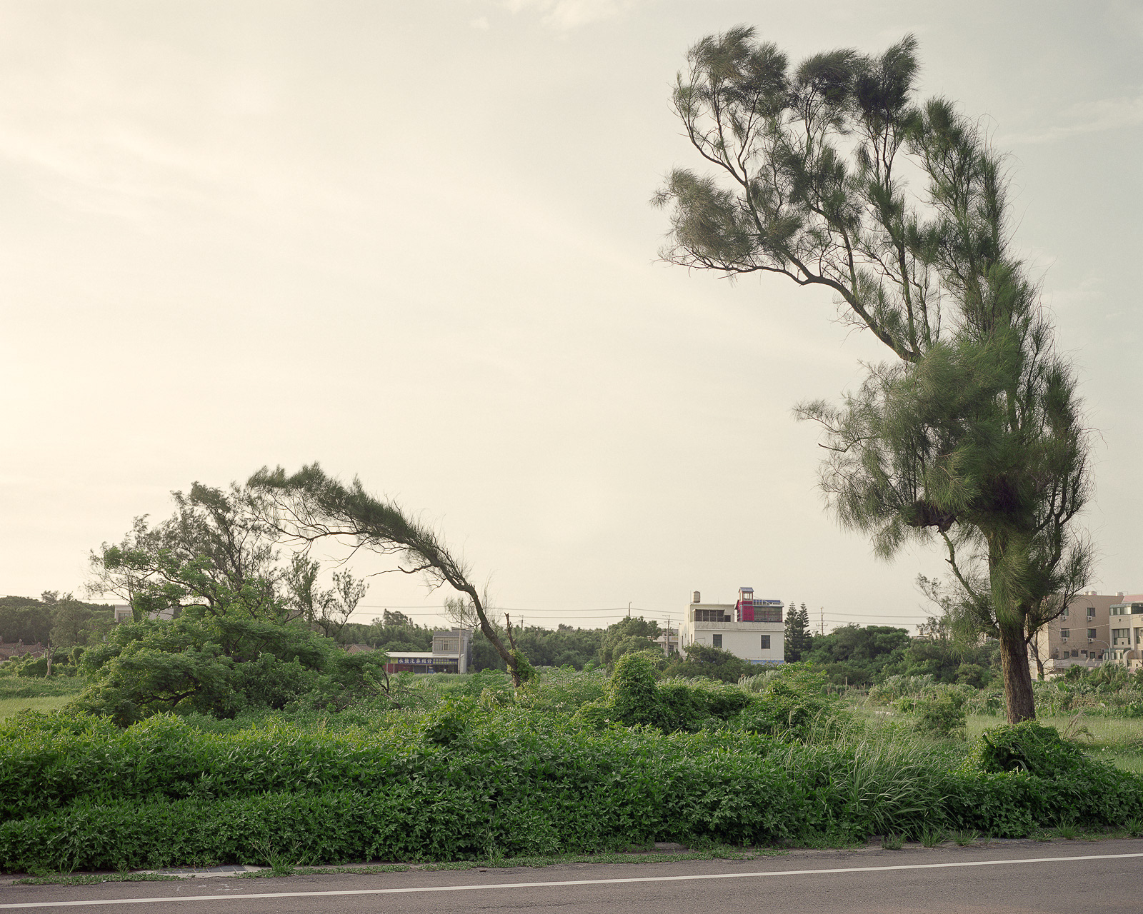Nowhere in Taiwan